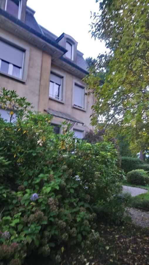 La Romantique Sainte-Marie-aux-Mines Exteriör bild